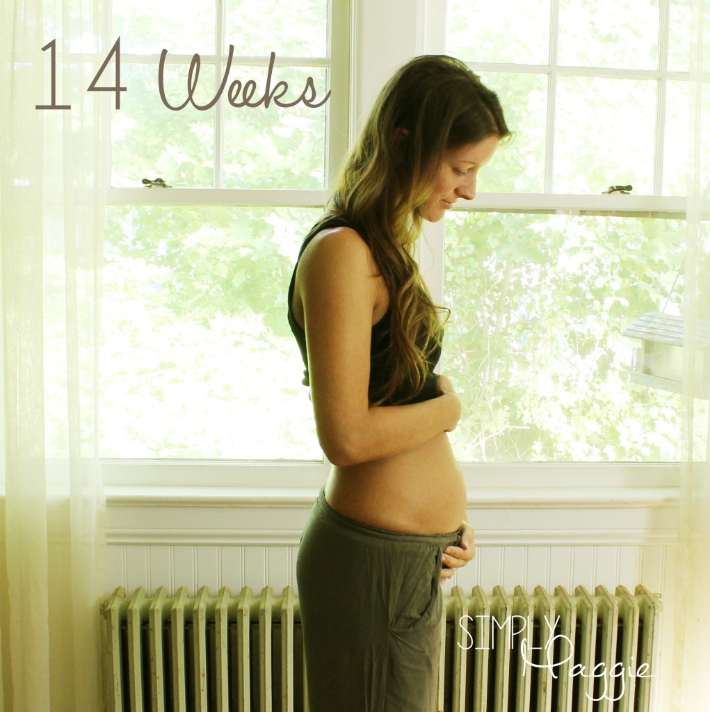 12-14 Weeks Pregnancy Update - SimplyMaggie.com