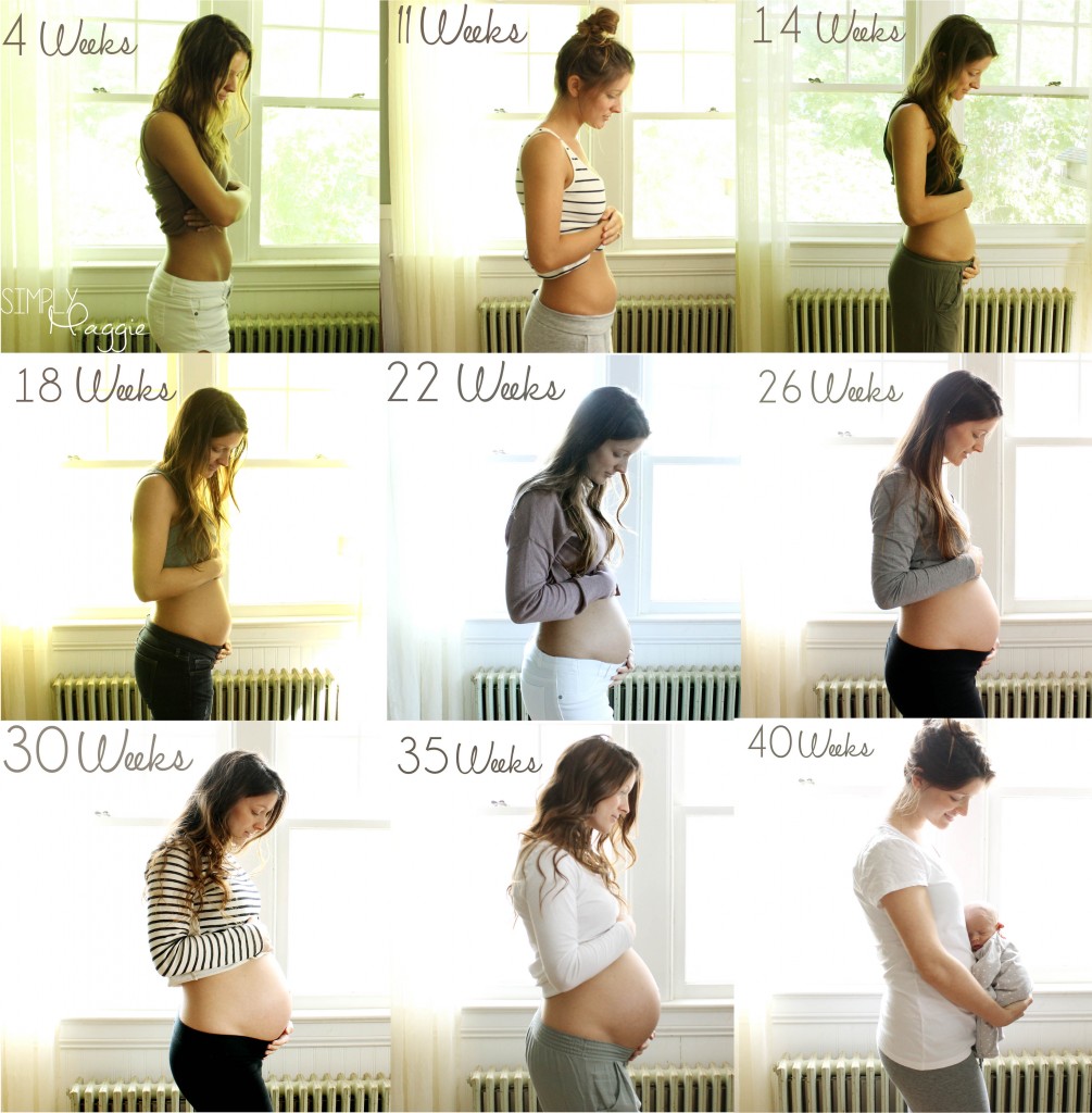 timeline 4 to 40 weeks small